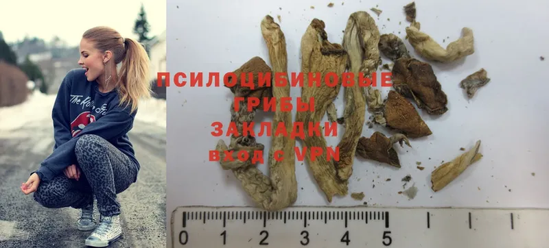 как найти наркотики  Юрьевец  Галлюциногенные грибы Magic Shrooms 